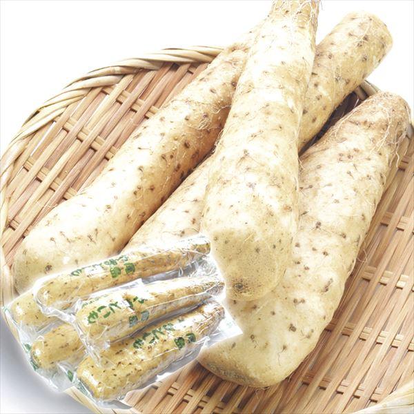 長いも 5本群馬産 やまといも・切れ子 送料無料 食品