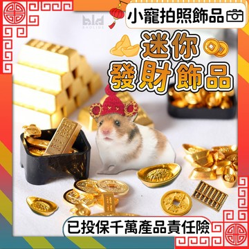 【小寵迷你發財飾品】幸運發財小飾品 小寵飾品 籠內造景 倉鼠用品 小元寶 金條 算盤 銅幣 金元寶 寵物裝扮 倉鼠裝扮