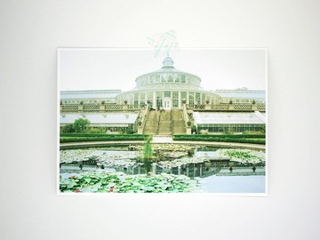 攝影明信片 | 植物園溫室-哥本哈根-丹麥 - 城市小旅行