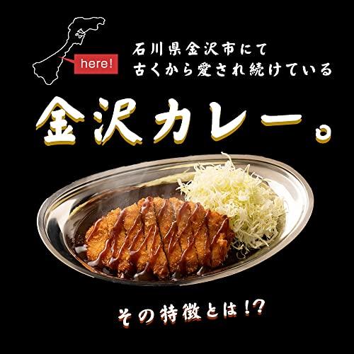 ターバンカレー 中辛 本場の金沢カレー(155g) 10食