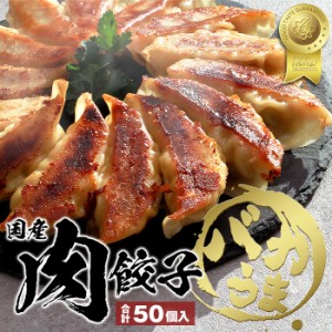 餃子 ぎょうざ ギョウザ ギョーザgyouza 50個 肉餃子 国産 国産豚肉 国産野菜 豚肉 中華 食品 冷凍 冷凍餃子 美味しい おいしい ニンニク