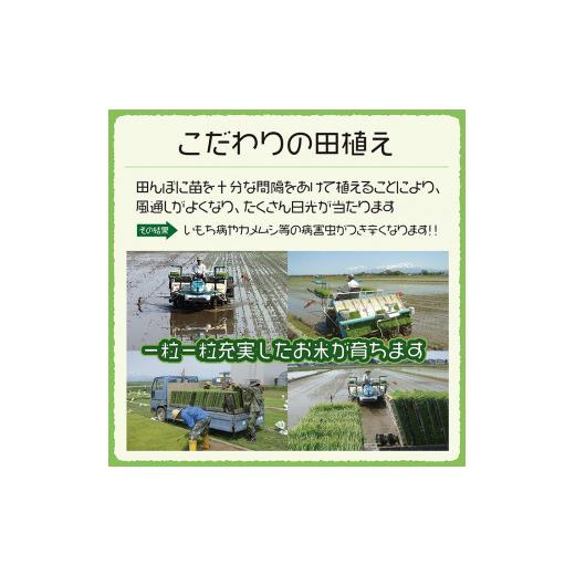 ふるさと納税 山形県 酒田市 SF0112　令和5年産 特別栽培米 つや姫5kg×6回(計30kg)〈太ももの会〉 FU