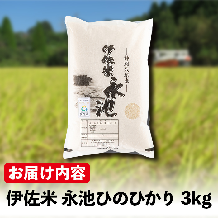 Z5-10 令和5年産 新米 特別栽培米 伊佐米永池ひのひかり(3kg)鹿児島でも極良食味のお米が出来る永池地区で作ったお米！九州米サミット食味コンテスト最優秀賞2回受賞