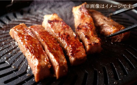 長崎和牛 サーロイン ステーキ 600g (200g×3枚) 肉 お肉 ステーキ肉 牛肉 和牛 希少部位 東彼杵町 黒牛 [BBU077]