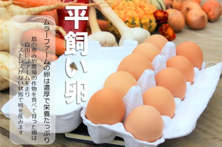 季節の野菜詰め合わせ（5～6種）と平飼い卵セット！農薬不使用だから安心安全！