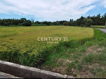 新屋永安漁港近台61線一般農｜桃園市新屋區崁頭厝