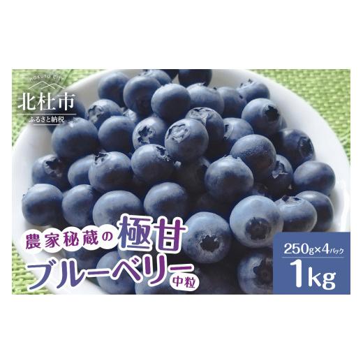 ふるさと納税 山梨県 北杜市 7月〜9月発送！農家秘蔵の極甘ブルーベリー　中粒1kg（250g×4パック）