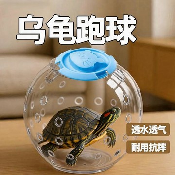 🔥臺灣出貨🔥烏龜自嗨解悶跑球 透明滾球 巴西龜草龜專用互動遛龜神器