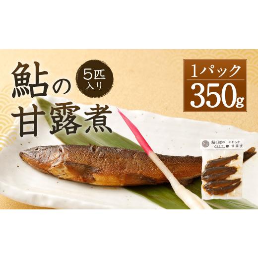 ふるさと納税 熊本県 人吉市 熊本県産 鮎の甘露煮 大サイズ 5匹