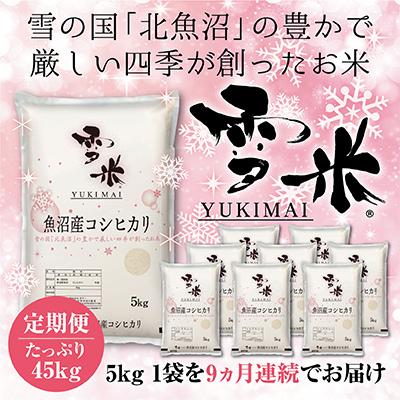 ふるさと納税 魚沼市 魚沼産コシヒカリ精米『雪米YUKIMAI』5kg雪の国から〜全9回