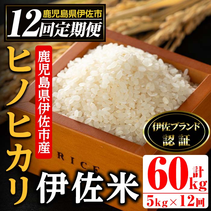 isa500 伊佐米 ヒノヒカリ＜計60kg・5kg×全12回＞ 鹿児島 国産 伊佐米 お米 米 こめ コメ ひのひかり 白米 精米 ごはん ご飯 定期便