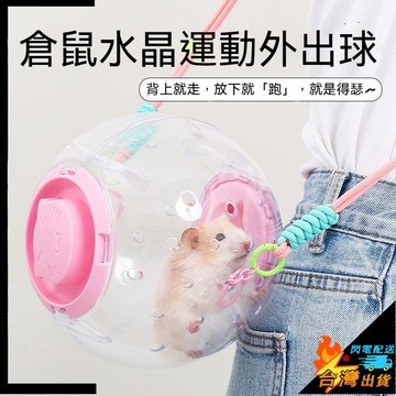 【台灣出貨】倉鼠跑球 倉鼠球 倉鼠外出包 倉鼠滾球 鼠球 寵物球  黃金鼠球 倉鼠跑步球 倉鼠 倉鼠玩具 倉鼠用品