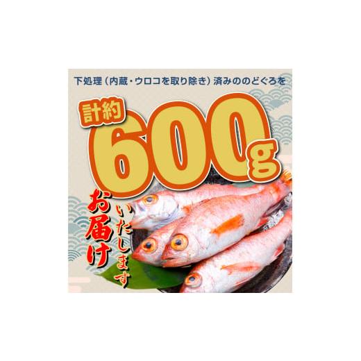 ふるさと納税 鳥取県 大山町 OM-05　白身のトロ「のどぐろ」4匹（冷凍）