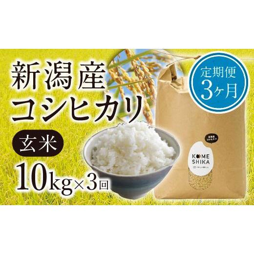 ふるさと納税 新潟県 新潟産コシヒカリ 玄米10kg×3回