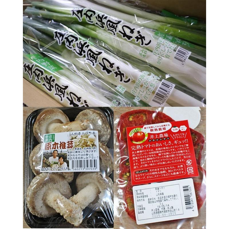 庄内 野菜セット 10品 送料無料 おまかせ　山形県庄内産 野菜詰め合わせ 新鮮 地物野菜