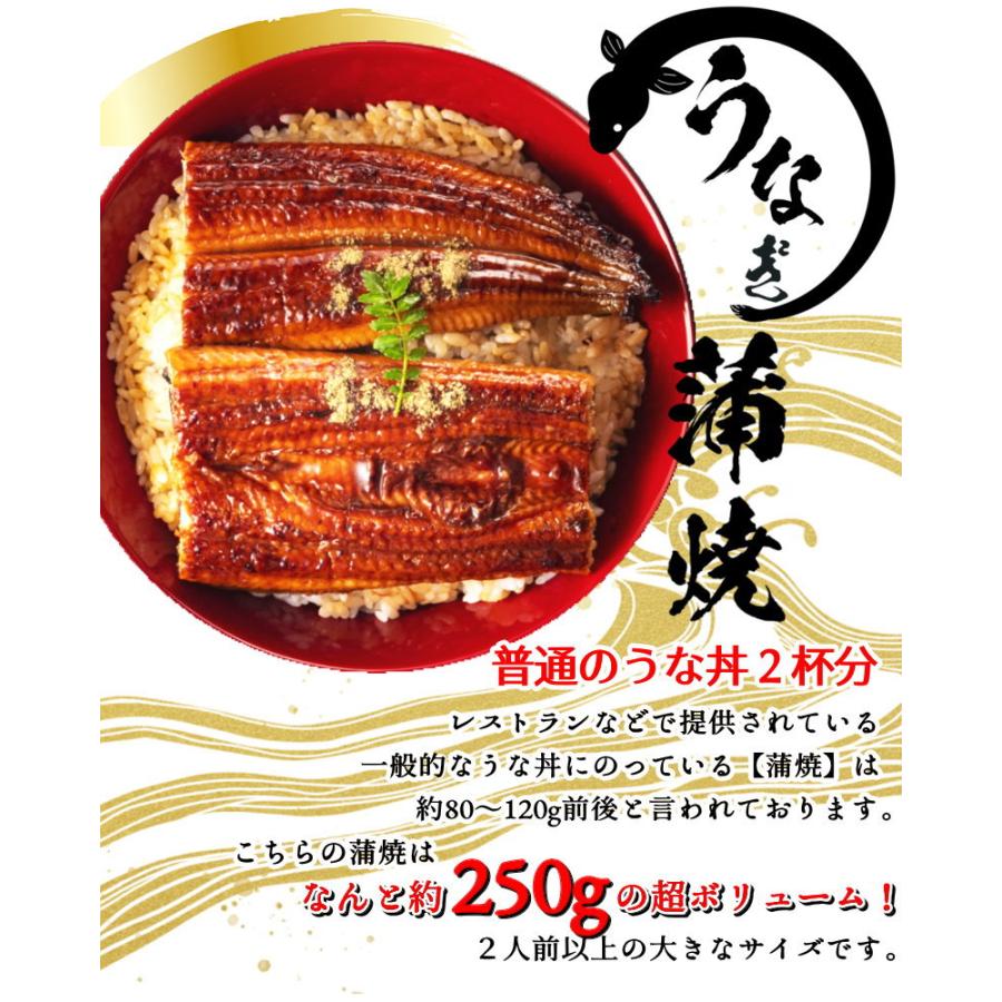 うなぎ 蒲焼き　250gの特大サイズ  ウナギ うなぎ ギフト　２尾購入で１尾おまけ付き　送料無料・うなぎ蒲焼・