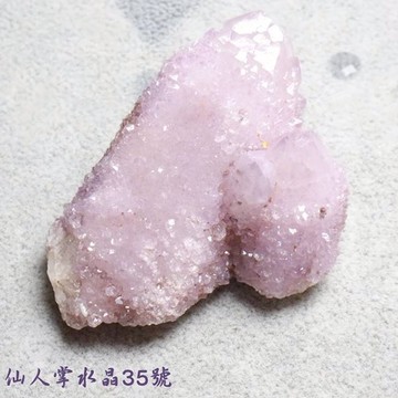 仙人掌水晶35號(Cactus Quartz)