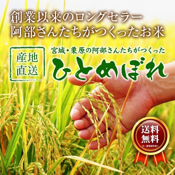 新米 ひとめぼれ 米 10kg 令和5年産 5kgx2袋 お米 宮城県産 白米 送料無料 精白米 産地直送