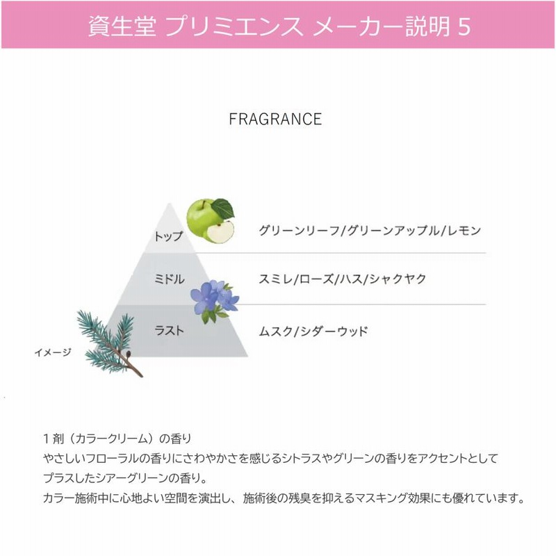 カラーリング・白髪染め SHISEIDO PRIMIENCE ENRICH NBe7 berryscosme_primience-oxset
