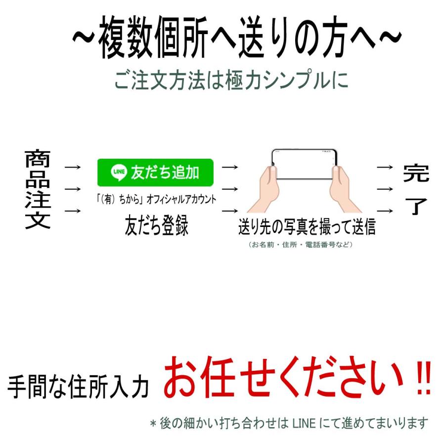 有明海産 海苔 ふりかけ 詰め合わせ 粗品 内祝 御礼 快気祝 景品 記念品 ギフト ギフトセット 進物