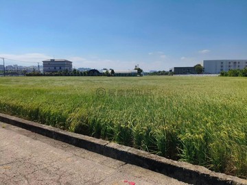 捷運G02站旁【大地坪合法農舍～稀有釋出】｜桃園市八德區建國路