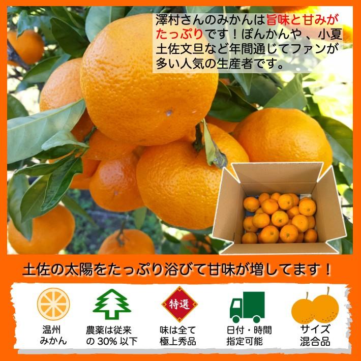 山北みかん 減農薬 約2kg  お試し品 訳あり サイズ混合  温州みかん 送料無料 高知県産