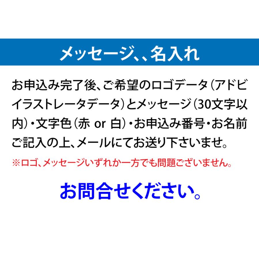 お守り京都一筆龍 額縁御守 守護黒金銀双龍 大 御守 龍 金運 開運 縁起物 お祝い ギフト 龍の置物 風水 お守り