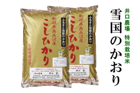 南魚沼産コシヒカリ10kg 井口農場こだわりの 特別栽培米