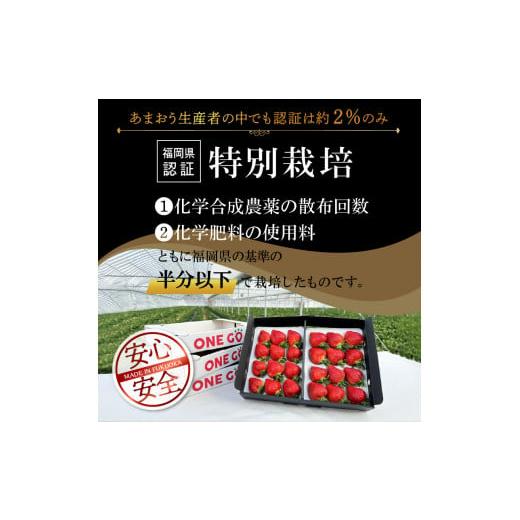 ふるさと納税 福岡県 久留米市  ギフト配送 約450g×2パック EX 福岡県産あまおう〈特別栽培〉