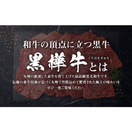 ふるさと納税 くまもと黒毛和牛  杉本本店 黒樺牛 A4~A5等級 モモステーキ 100g×10 計1kg 熊本県合志市