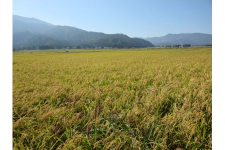 南魚沼地域産コシヒカリ「梅蛍」 10kg