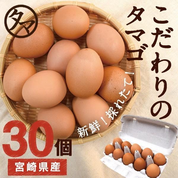 九南サービス タマチャンショップ 高崎のめぐみ 30個入