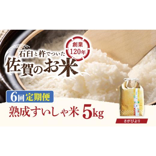 ふるさと納税 佐賀県 嬉野市  〈 令和5年産 新米 〉 佐賀県産 さがびより 5kg NAO040