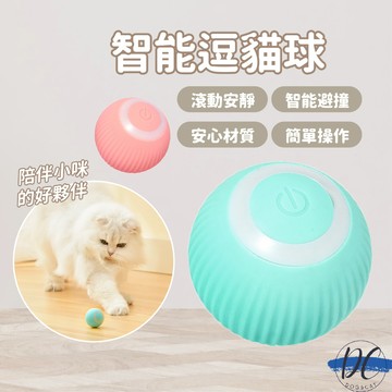 【DC寵物有發票】🐾引力滾滾球 智能逗貓球 自動逗貓球 逗貓神器 USB充電貓玩具球 寵物玩具 自嗨電動玩具 A139