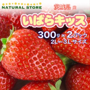 [予約 2024年1月5日-1月30日の納品] いばらキッス 2パック 2L 3L 約300g×2パック 茨城県産 いちご