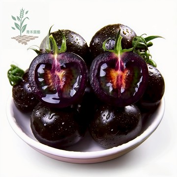 青禾園藝（美國紫番茄種子）FQ-49大紫番茄種子營養價值高大西紅柿四季播種果菜蔬菜種子#tomato#台灣自留種