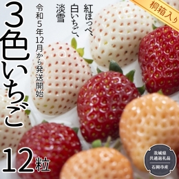 3色いちご （紅ほっぺ、白いちご、淡雪） 桐箱入り 12粒  （県内共通返礼品：石岡市産） フルーツ 果物 デザート いちご イチゴ 苺 白苺 白いちご 季節 桐箱 贈答 [BI354-NT]