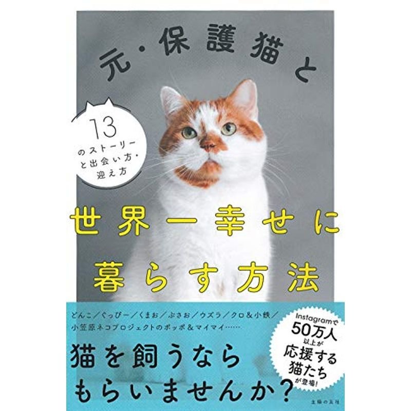 元・保護猫と世界一幸せに暮らす方法