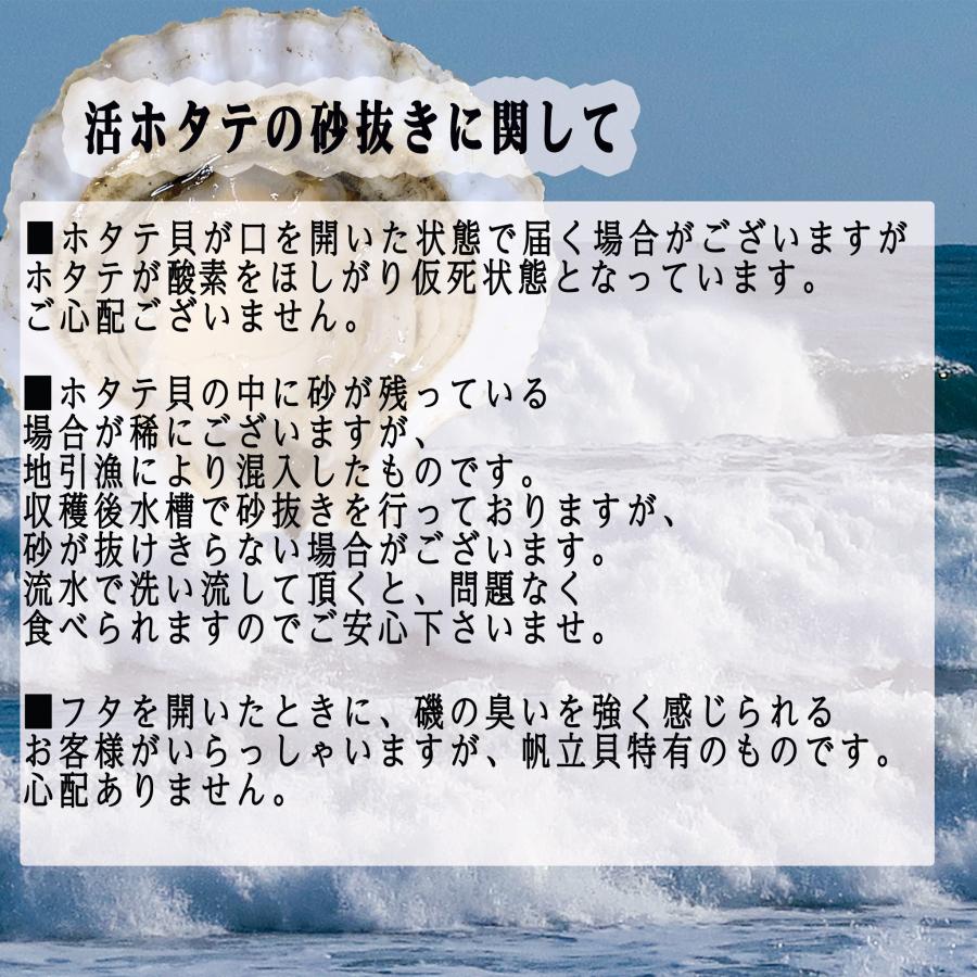 ホタテ 殻付き 活ホタテ 北海道 お歳暮 お取り寄せ 2キロ