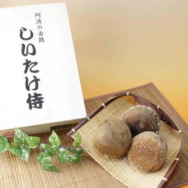 　しいたけ侍　贈答用木箱　15個入り　徳島産