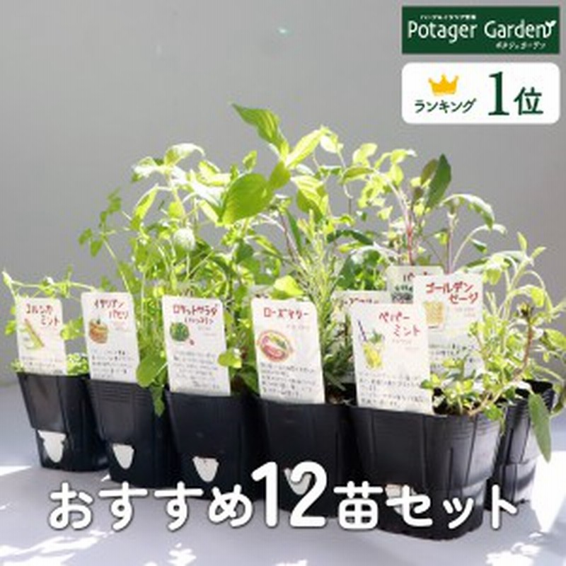 藤原産業 イモ・苗挿し棒390mm 通販