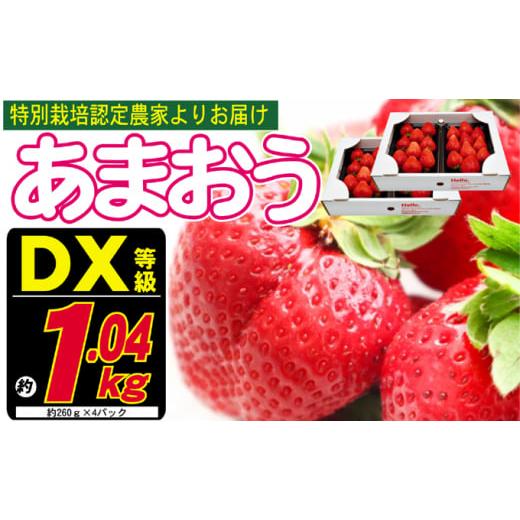 ふるさと納税 福岡県 朝倉市 あまおう DX等級のみ 約1.04kg 約260g×4パック ※配送不可：北海道・東北・沖縄・離島