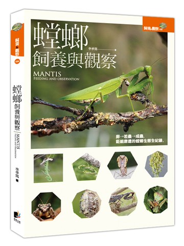 螳螂飼養與觀察
