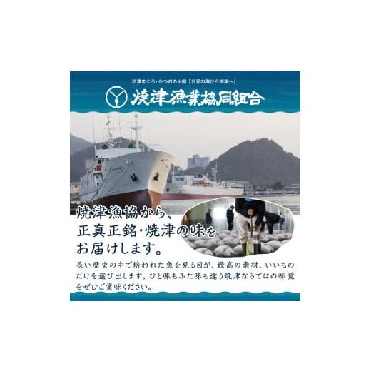 ふるさと納税 静岡県 焼津市 a24-038　焼津ミナミマグロBコース