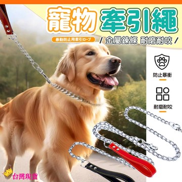 【12H發貨 滿額免運】寵物鐵鍊牽引繩 狗牽繩 鐵鍊繩 防暴衝寵物牽繩 牽引繩 狗繩 牽繩線 牽狗繩外出繩子 溜狗繩遛狗