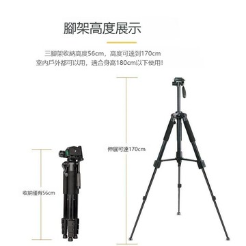 【台灣公司 可打統編】手機直播支架補光燈落地三腳架拍照視頻錄像戶外主播自拍多功能 m8202