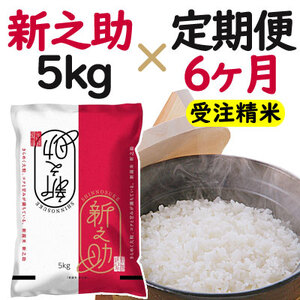 米 ６ヶ月定期便 令和５年産 新潟 新之助 ５kg 白米 精米 １等米 精米仕立てを発送致します