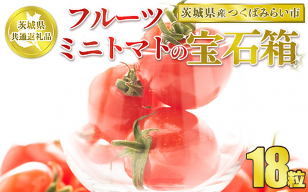 フルーツミニトマトの宝石箱　18粒 ※2024年1月～3月下旬頃に順次発送予定