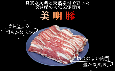 「美明豚」 豚バラスライス 1.4kg 茨城県共通返礼品 ・ 行方市産 ブランド豚 銘柄豚 美明豚 豚 豚肉 肉 豚バラ ぶたばら スライス 豚バラ肉 茨城 茨城県産 国産 冷凍 焼肉 BBQ_DS004