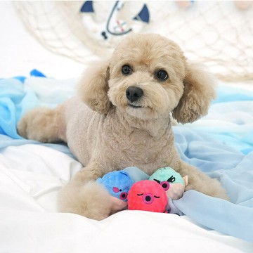 【ParisDog】海底生物互動啾啾球 (寵物玩具)